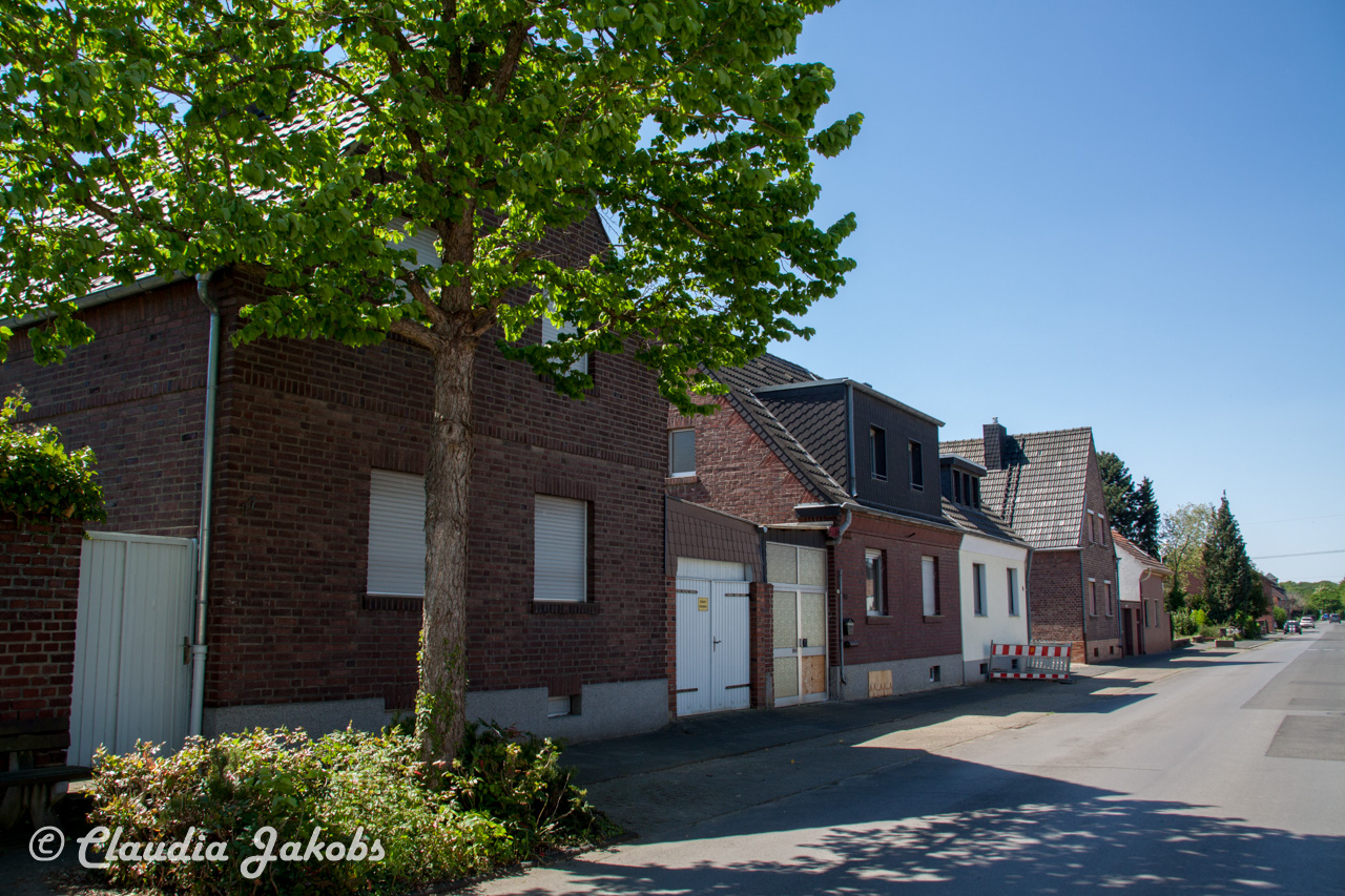 20160508131907 IMG 0613