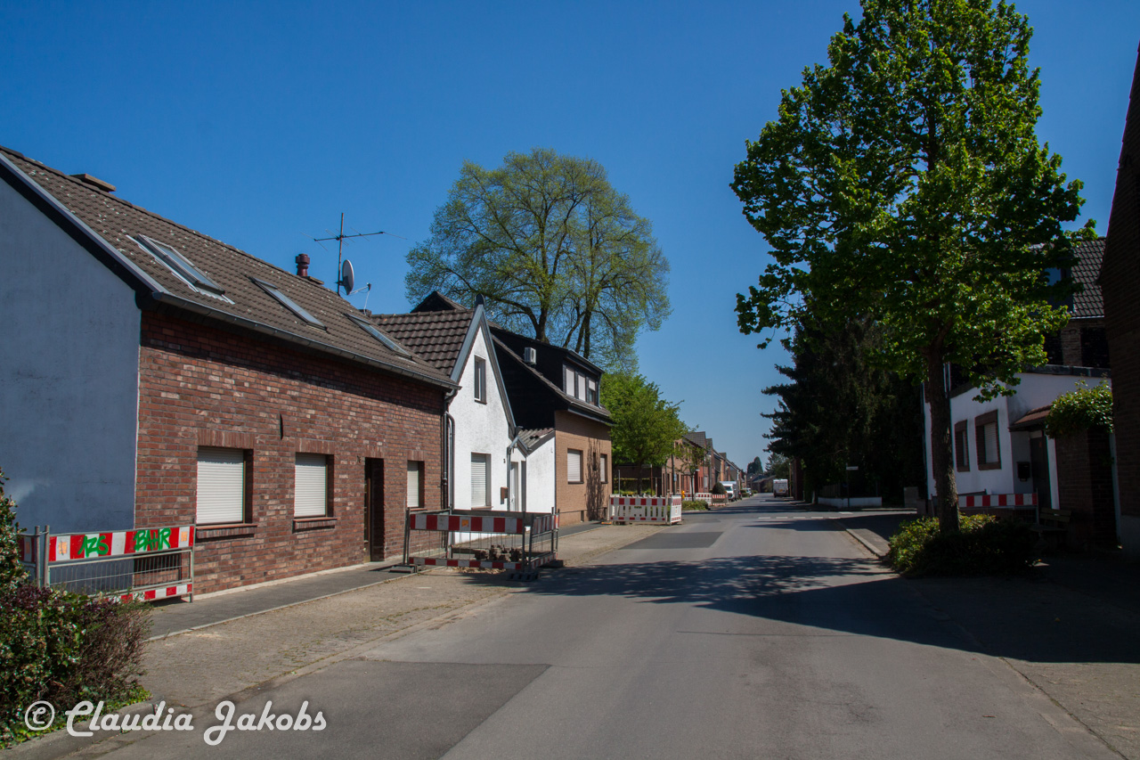 20160508131947 IMG 0616