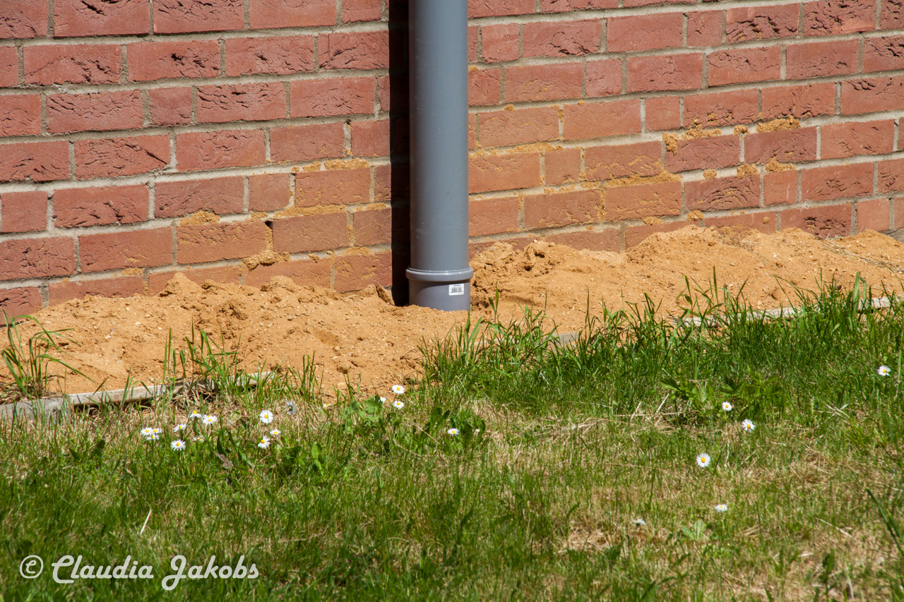 20160508132030 IMG 0618