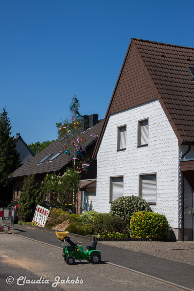 20160508132331 IMG 0625