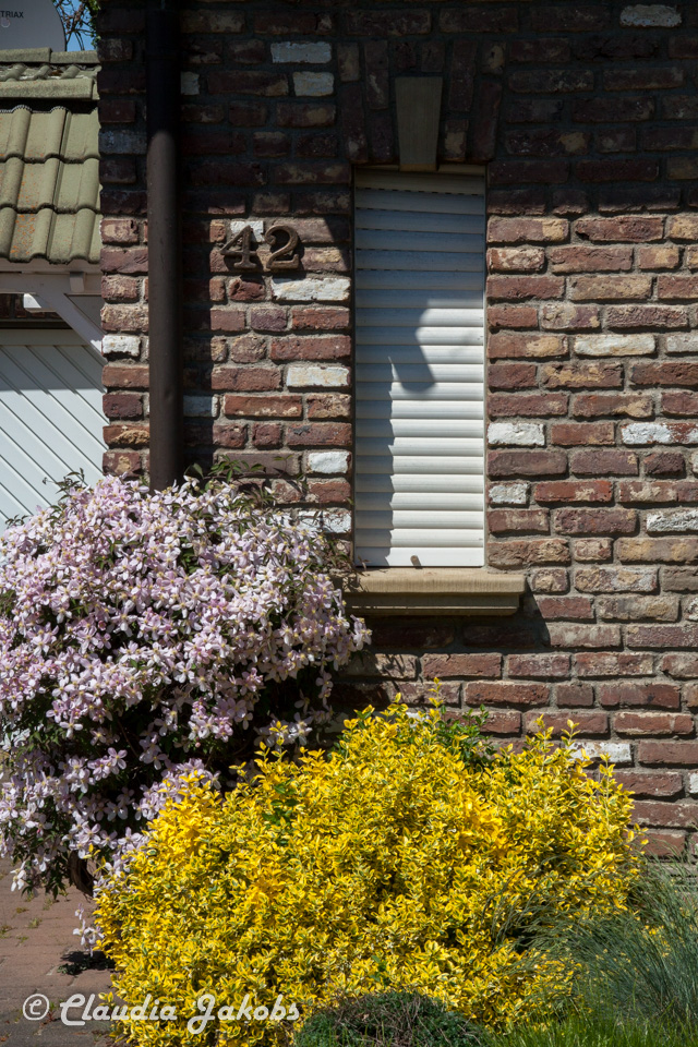 20160508132514 IMG 0627