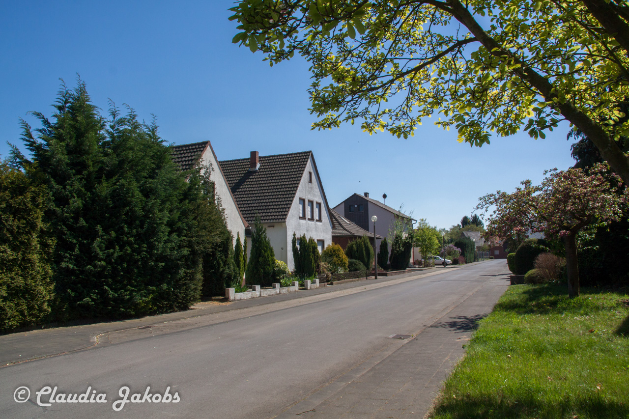 20160508132833 IMG 0632