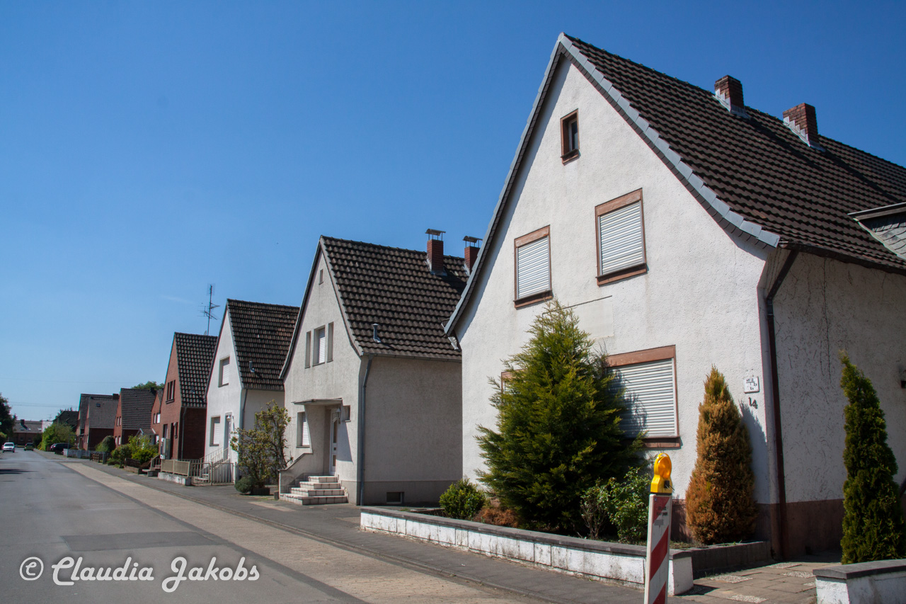 20160508133154 IMG 0639