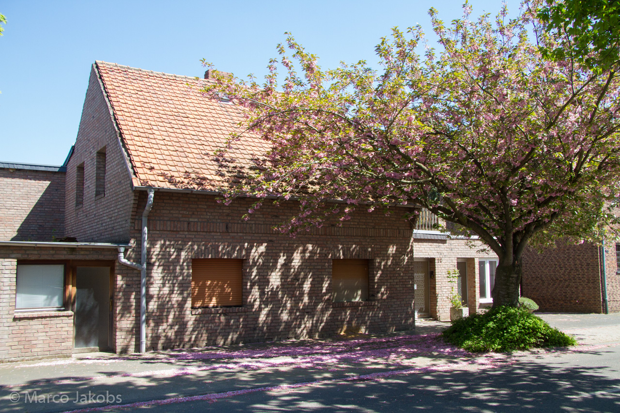 20160508133433 MJ  4528