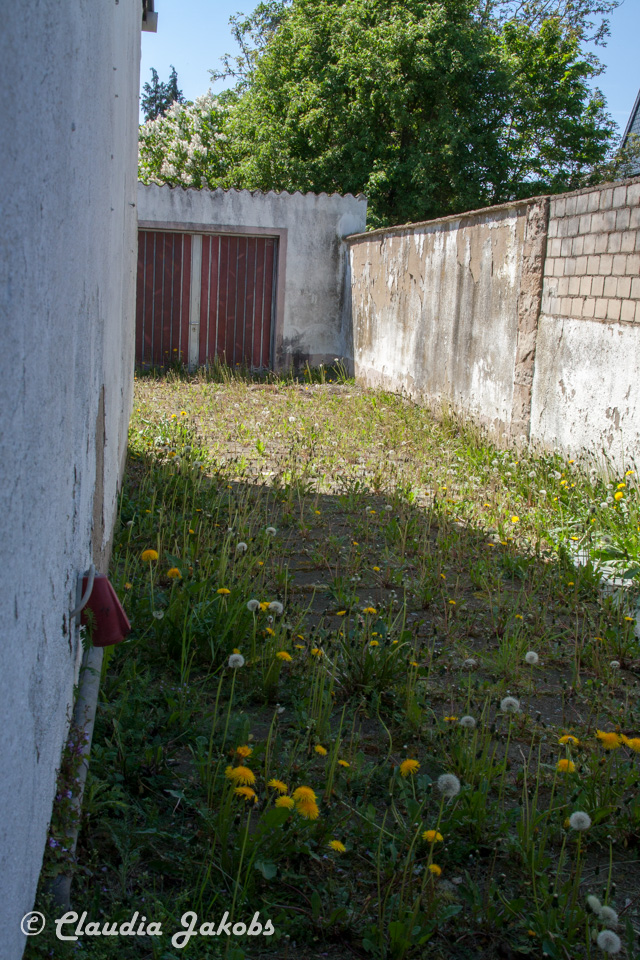 20160508133445 IMG 0645