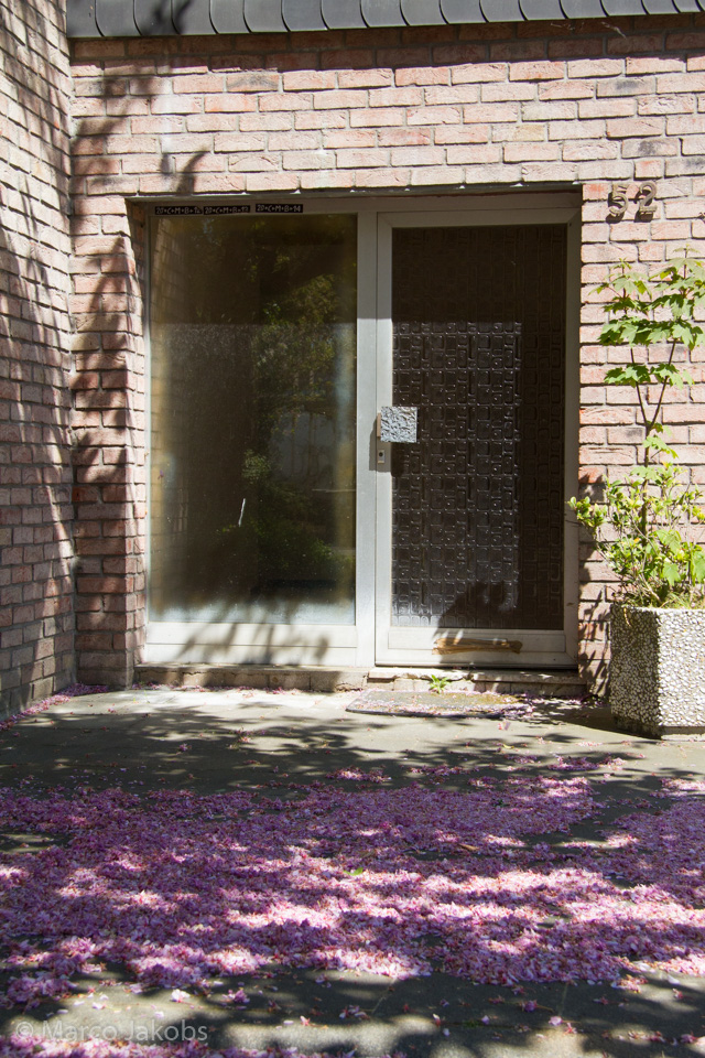 20160508133503 MJ  4529