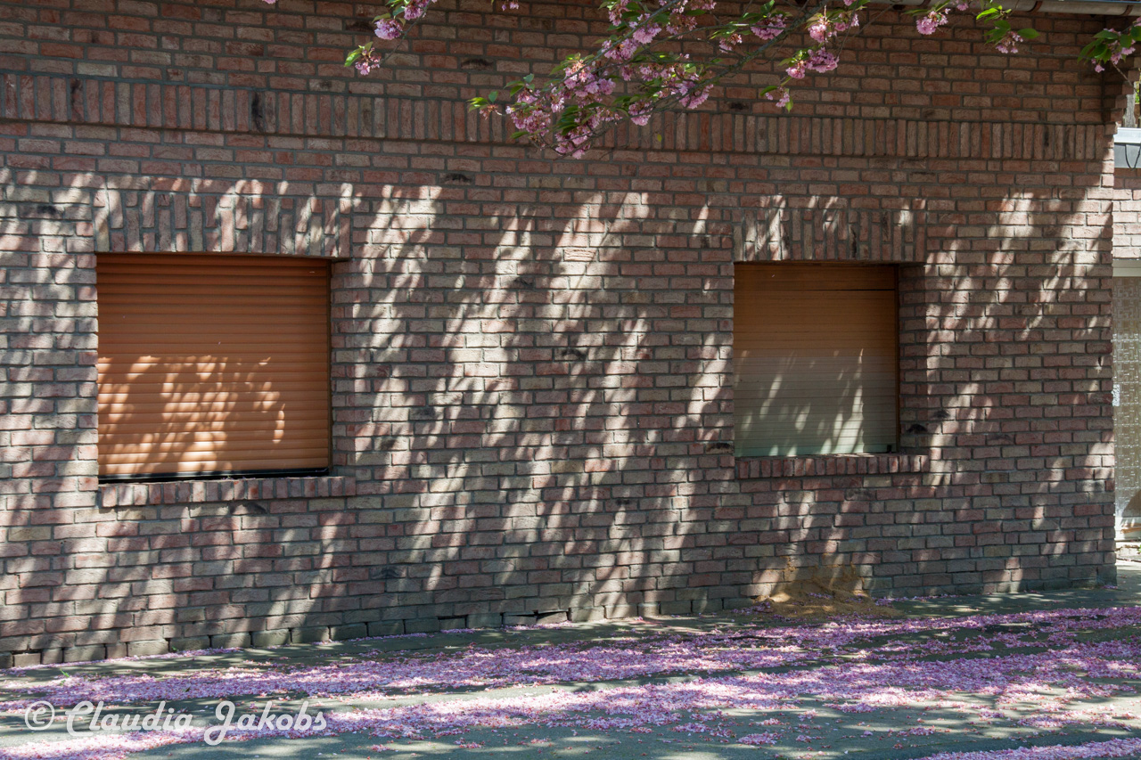 20160508133509 IMG 0646