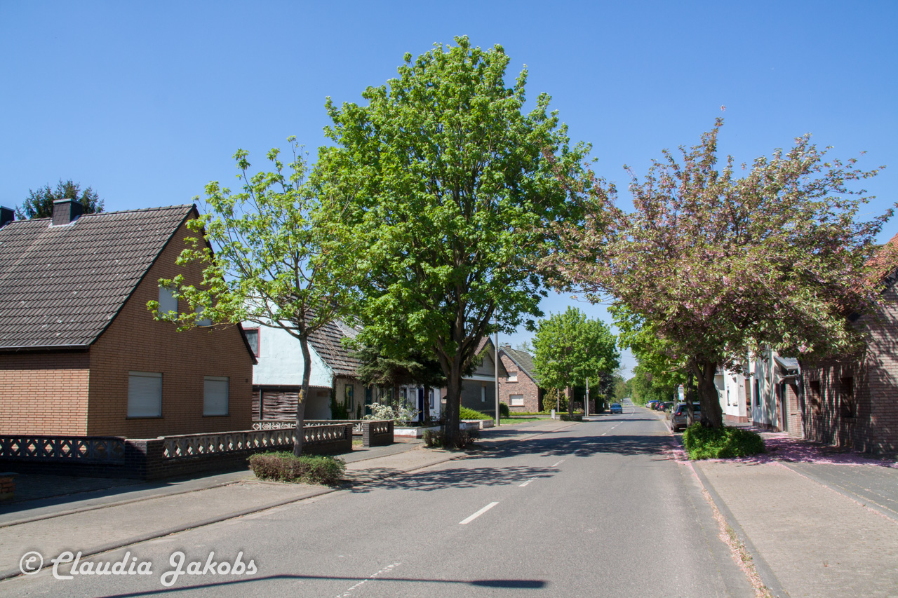 20160508133545 IMG 0647