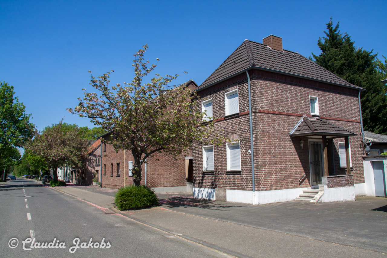 20160508133622 IMG 0650