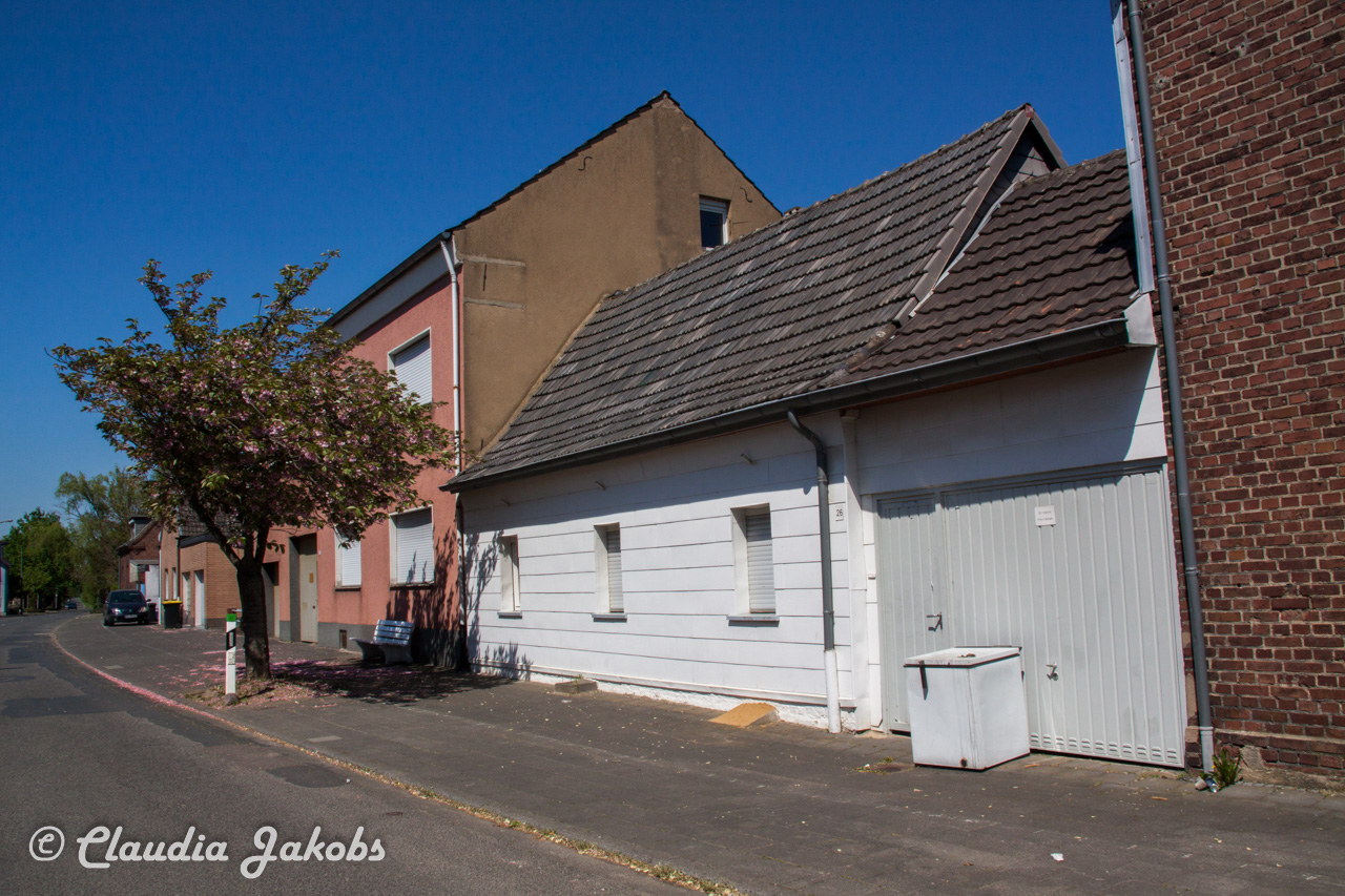 20160508133839 IMG 0654