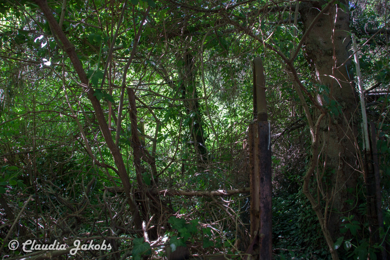 20160508134419 IMG 0665