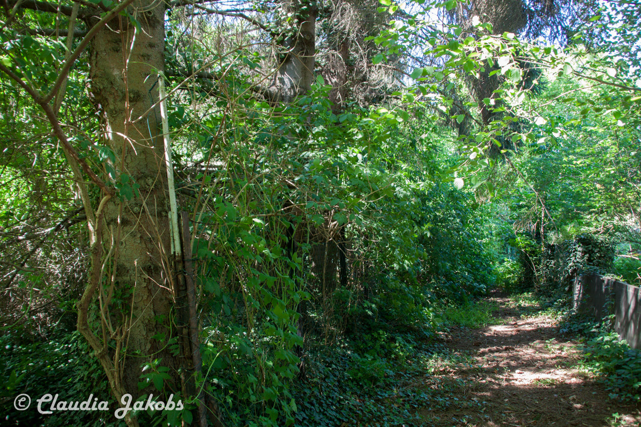 20160508134424 IMG 0666