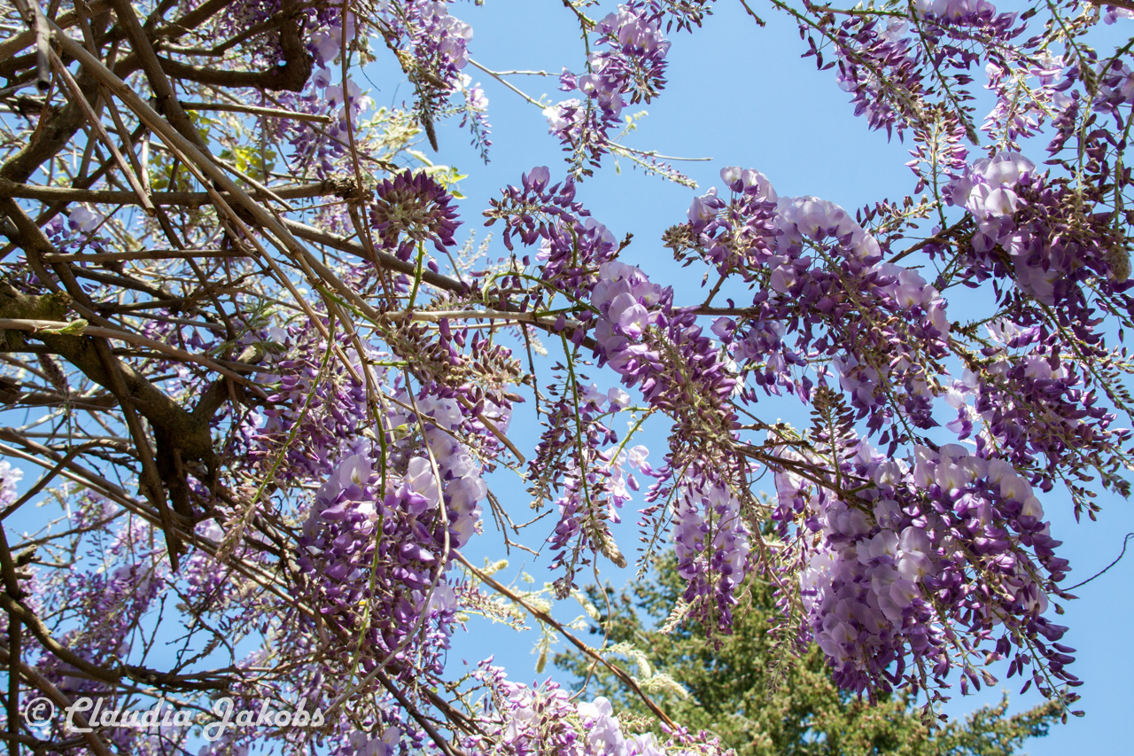 20160508134759 IMG 0673