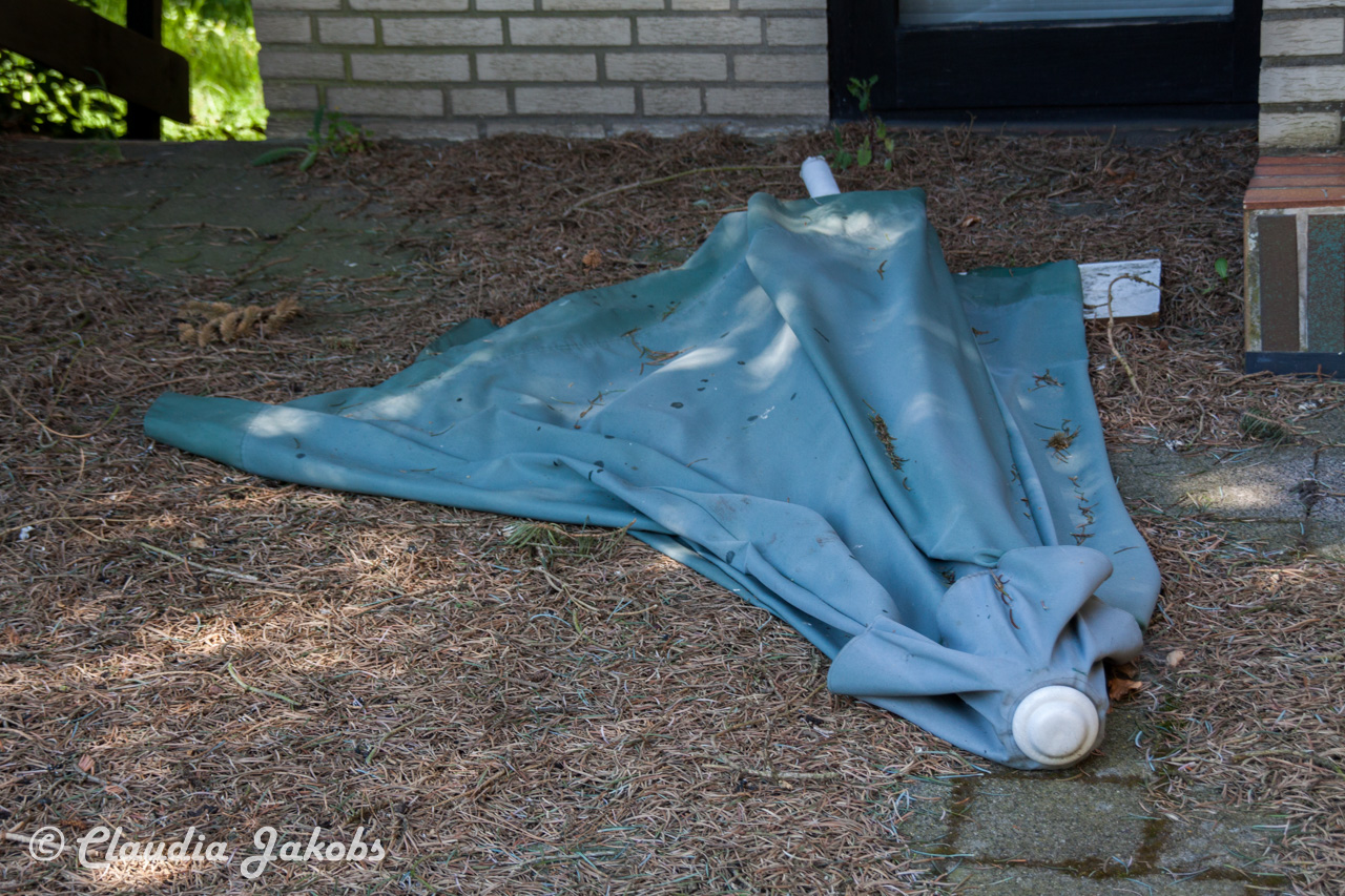 20160508134917 IMG 0675