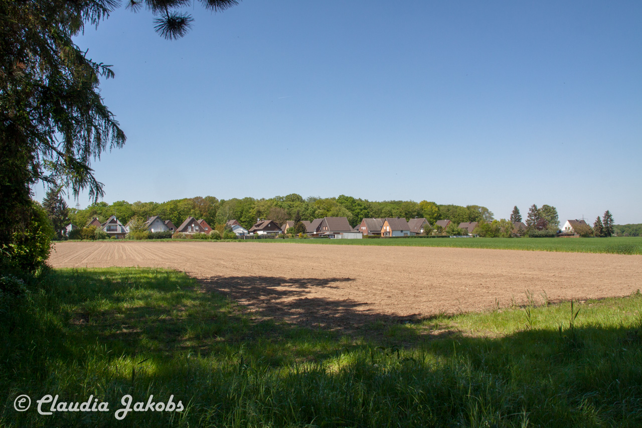 20160508135052 IMG 0677