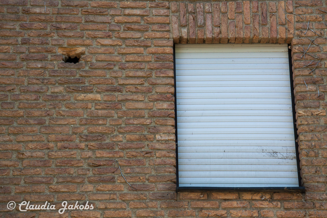 20160508135112 IMG 0678