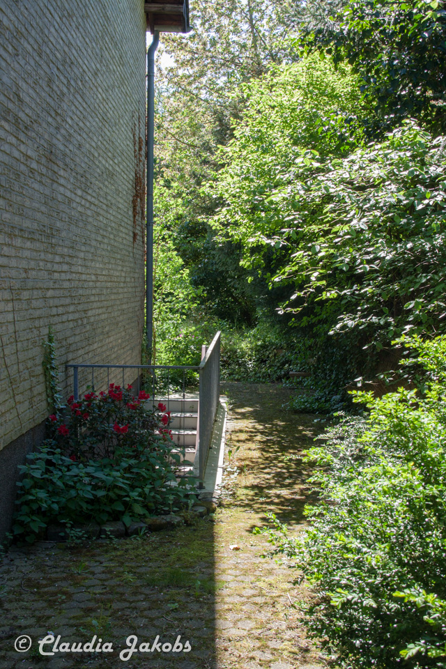 20160508135202 IMG 0679