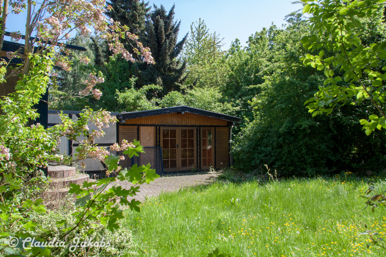 20160508135228 IMG 0680