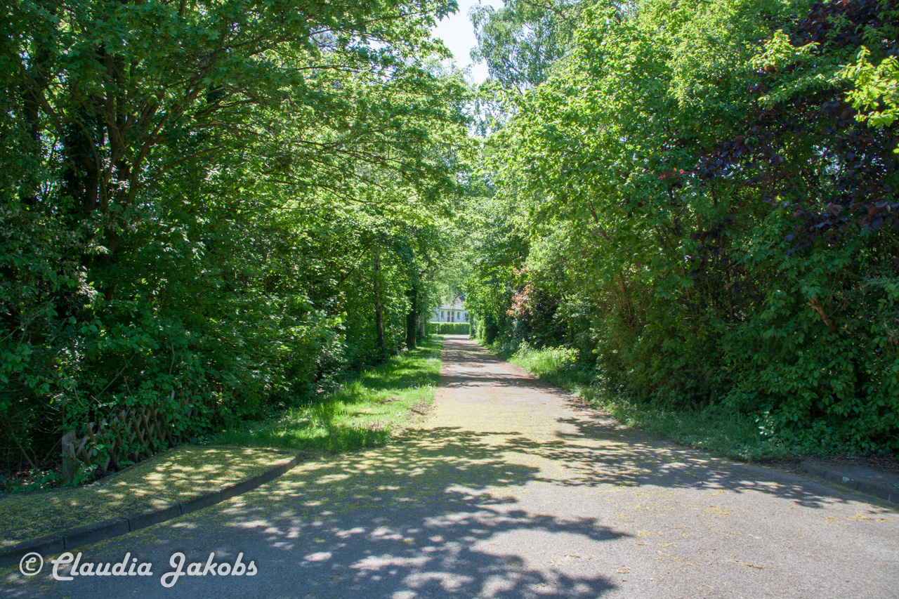 20160508135523 IMG 0686