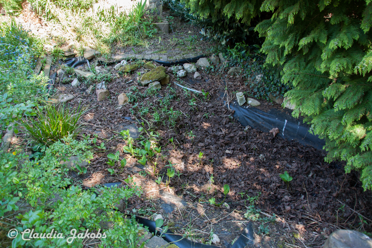 20160508135632 IMG 0688