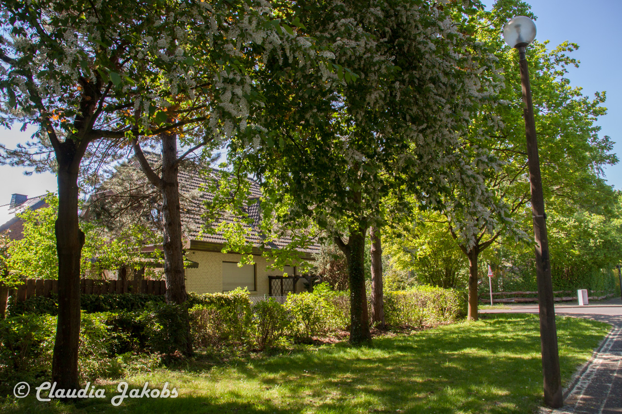 20160508135757 IMG 0689