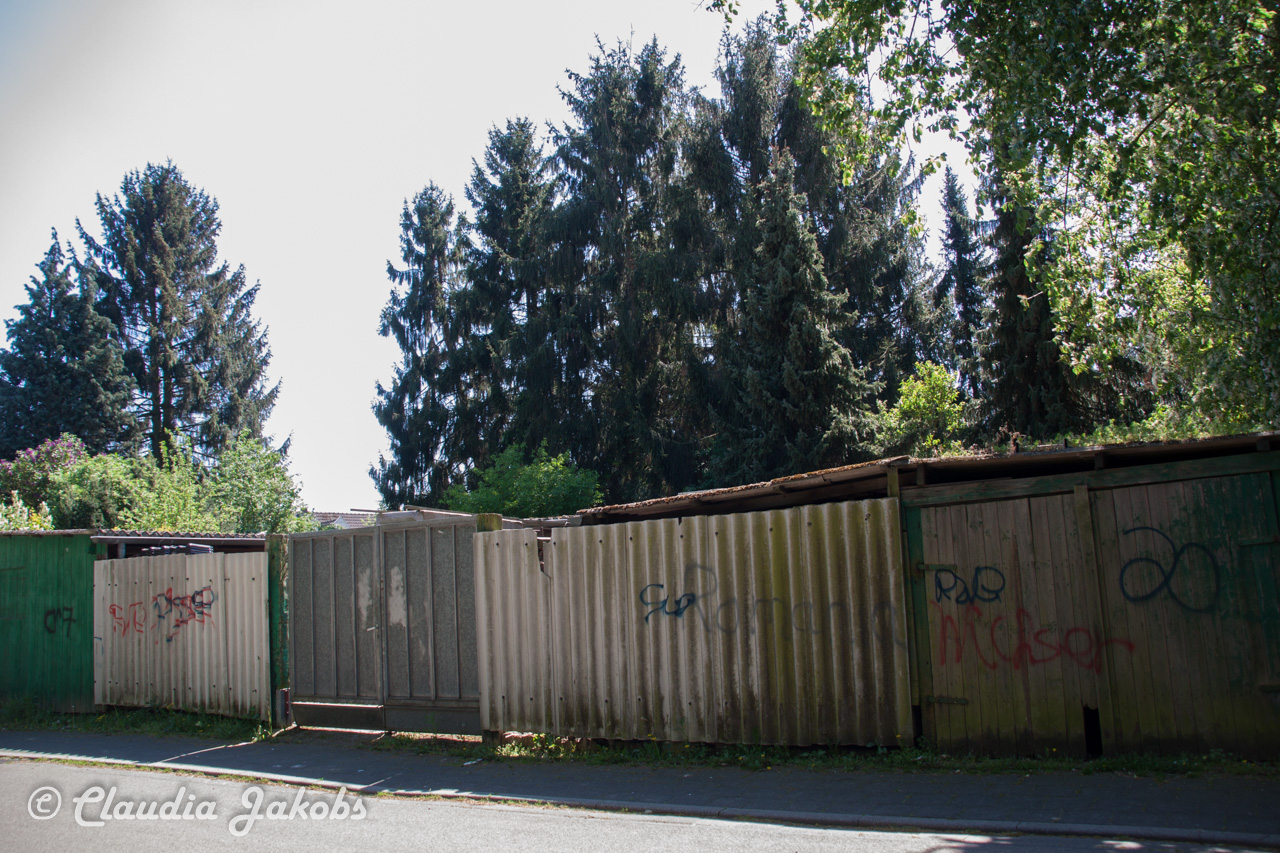 20160508135813 IMG 0690