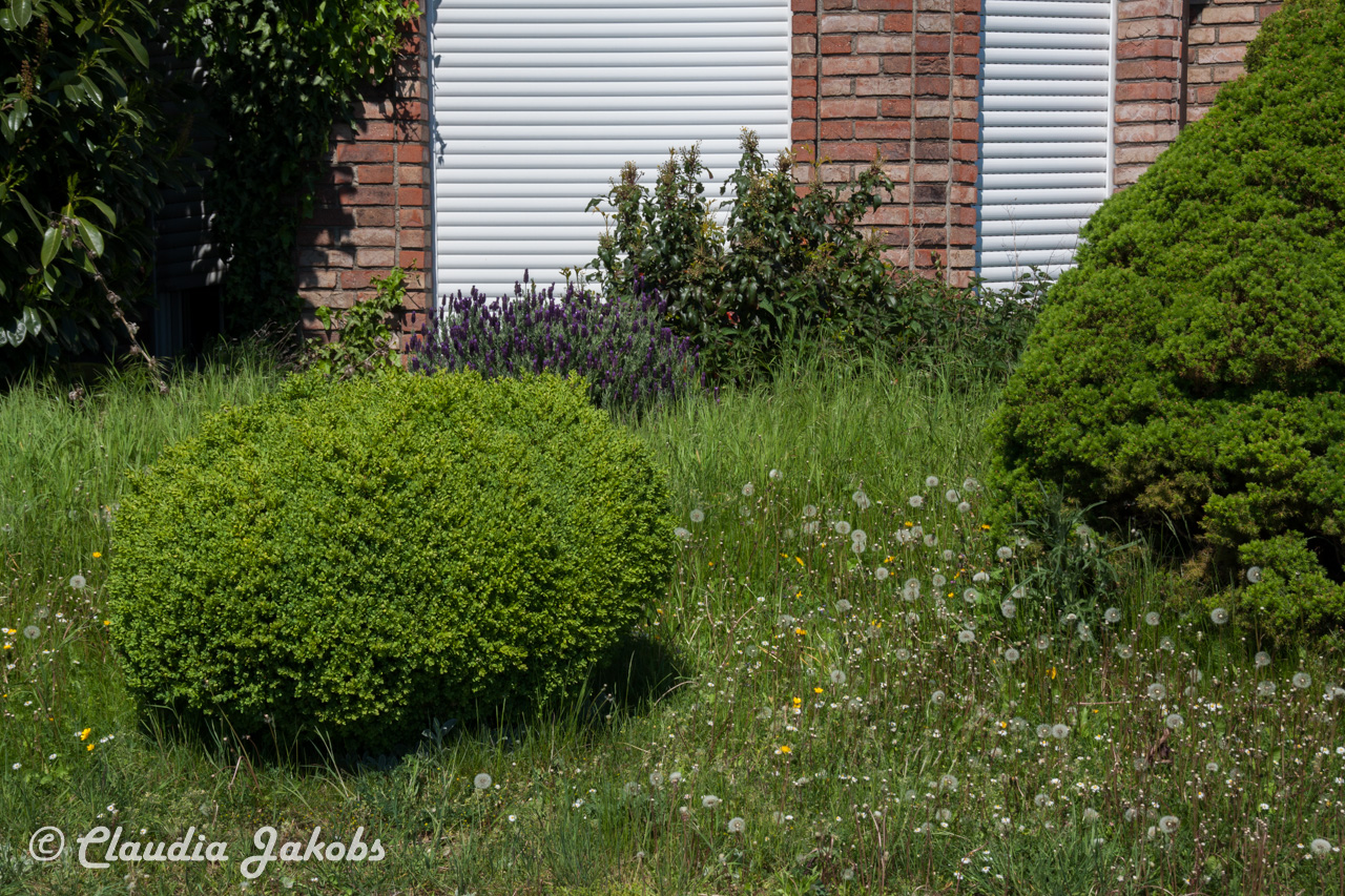 20160508141049 IMG 0704