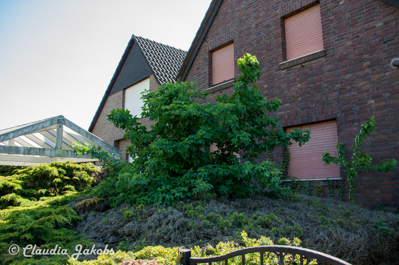 20160508141201 IMG 0706