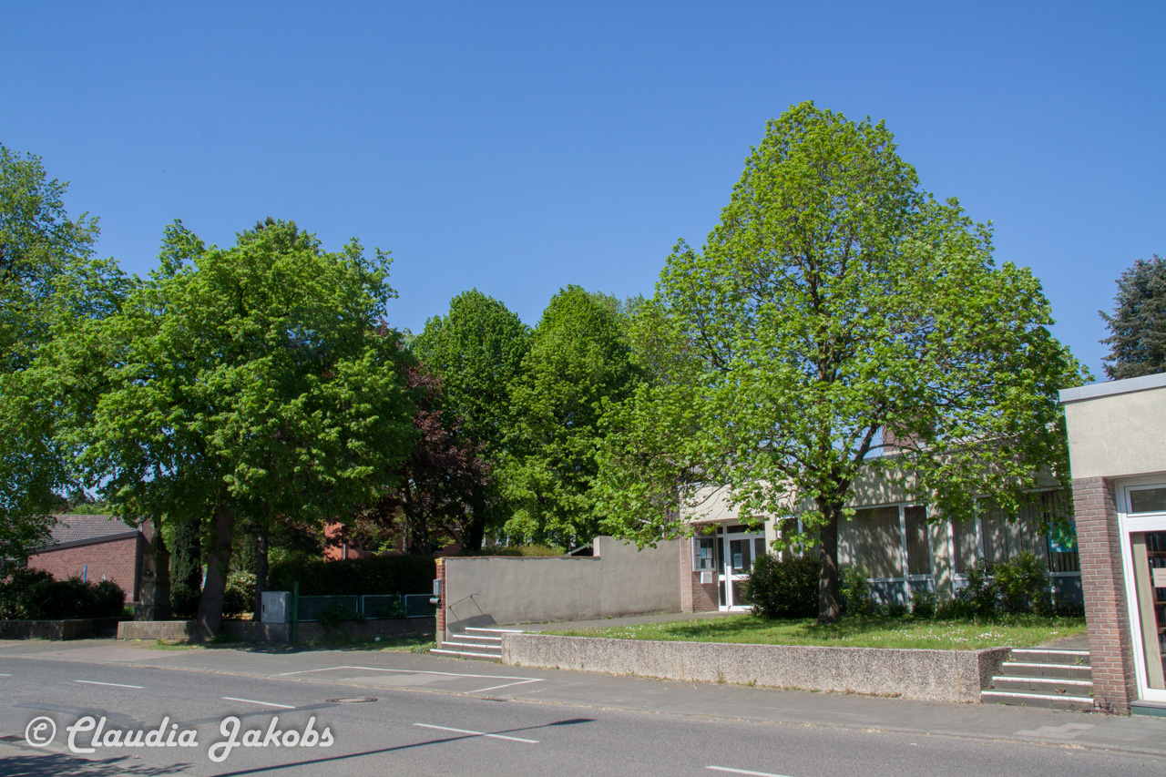 20160508141458 IMG 0715