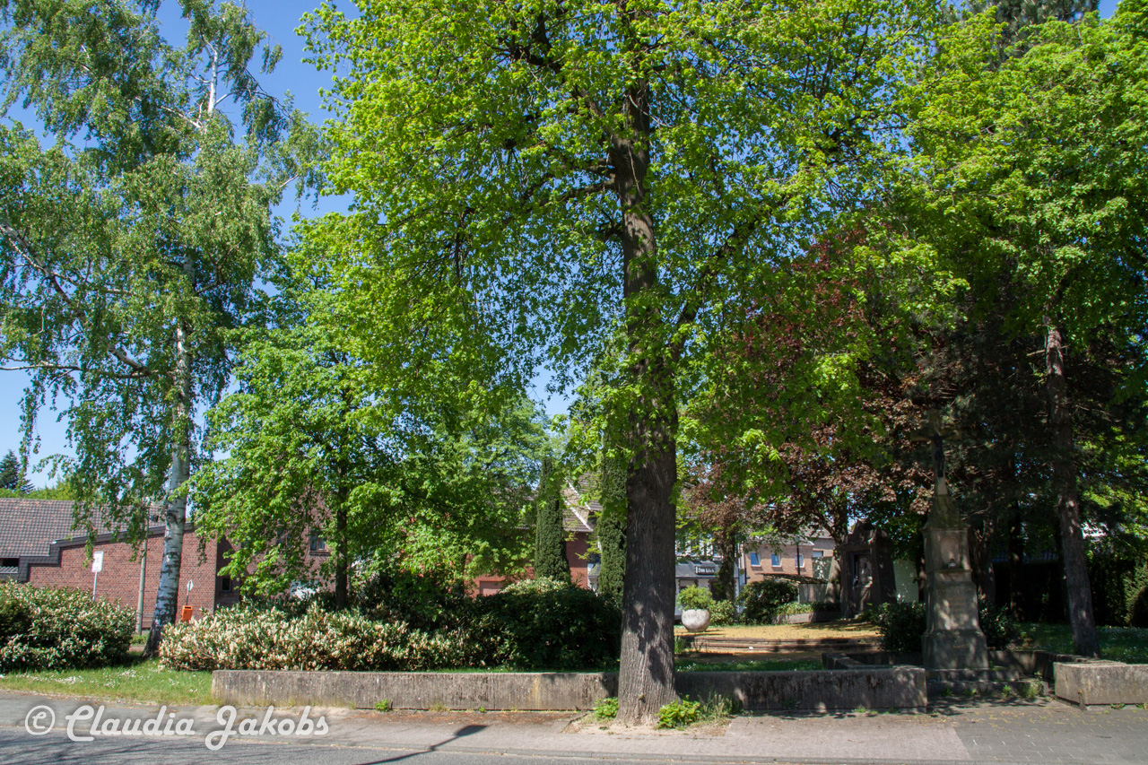 20160508141534 IMG 0717