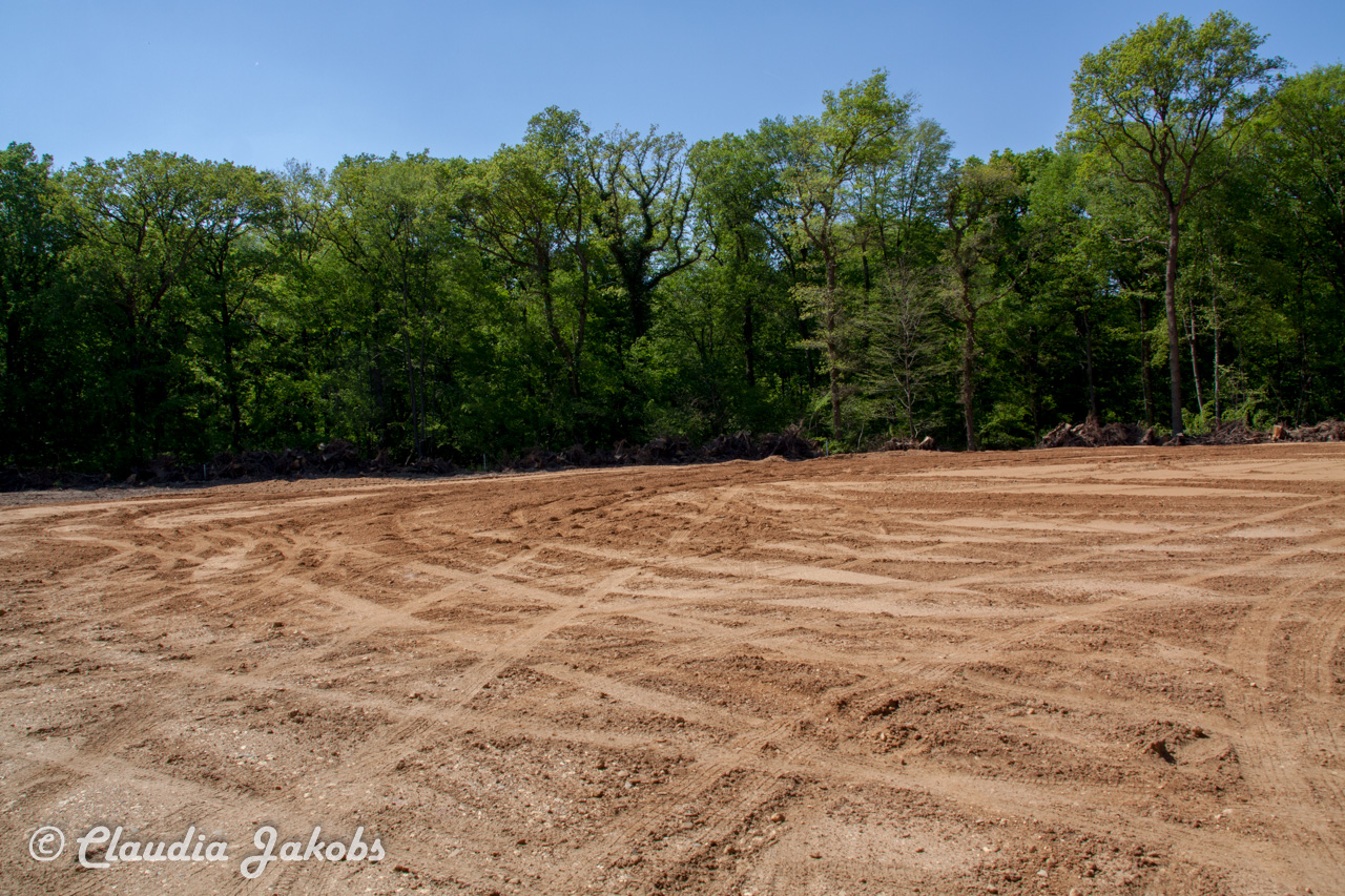 20160508142207 IMG 0718