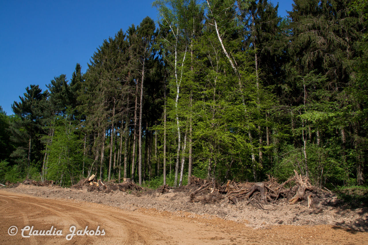 20160508142211 IMG 0719