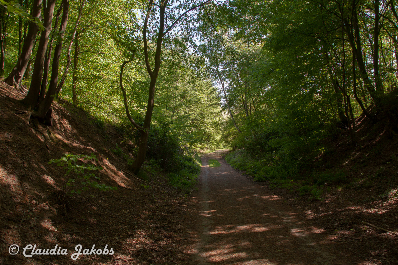 20160508142311 IMG 0720