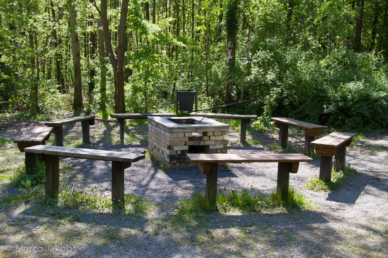 20160508142425 MJ  4583