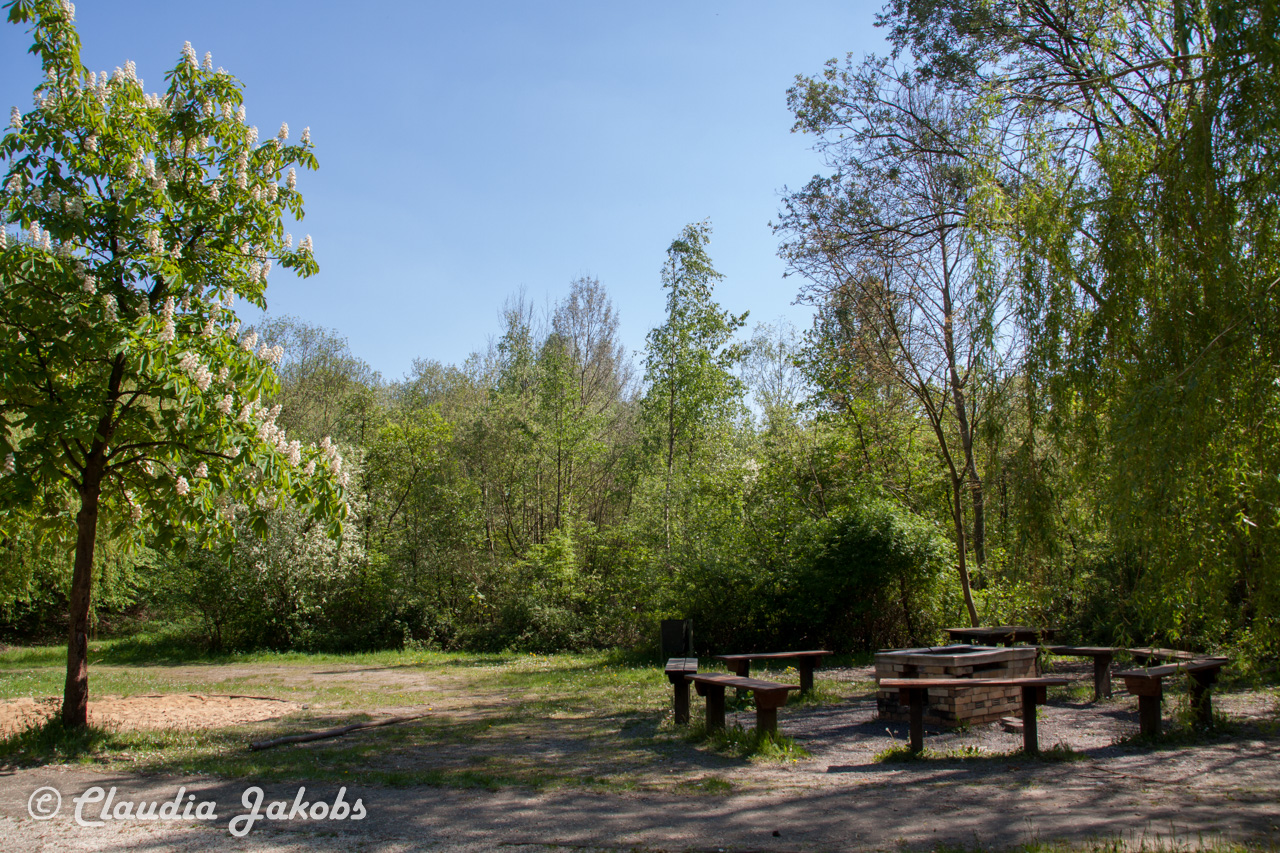 20160508142508 IMG 0723