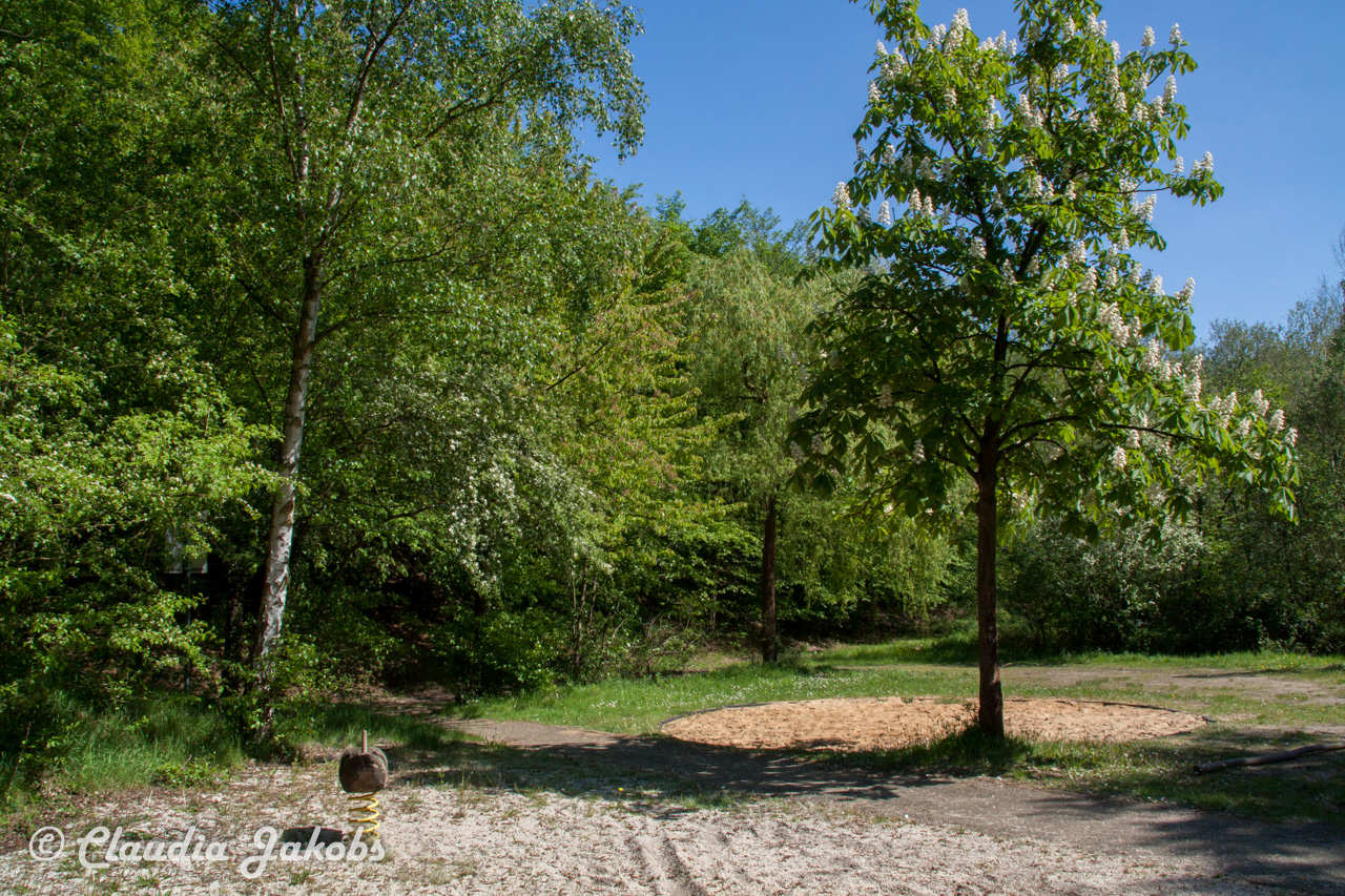 20160508142617 IMG 0725