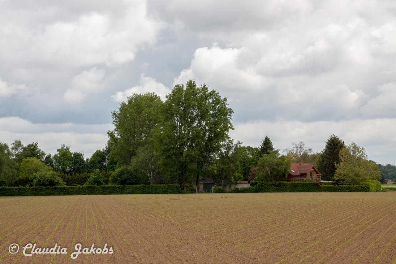 20160516100842 IMG 0728