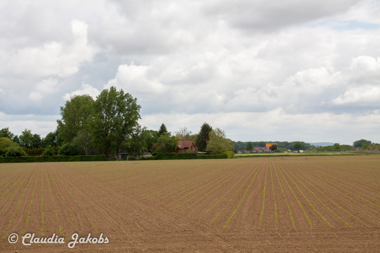 20160516100849 IMG 0729