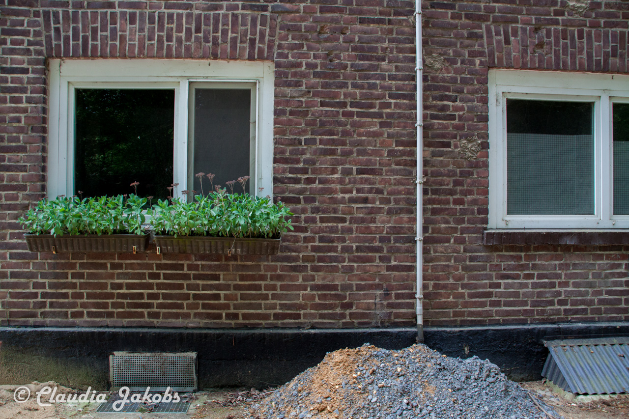 20160516101652 IMG 0737