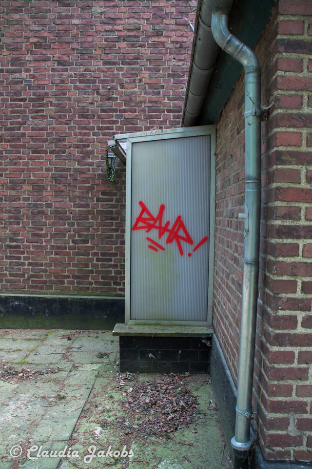 20160516101711 IMG 0738