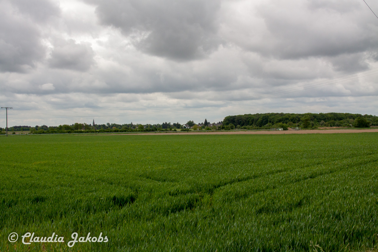 20160516101926 IMG 0742