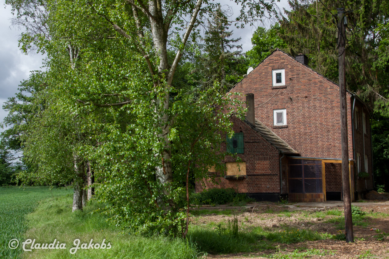 20160516101942 IMG 0743