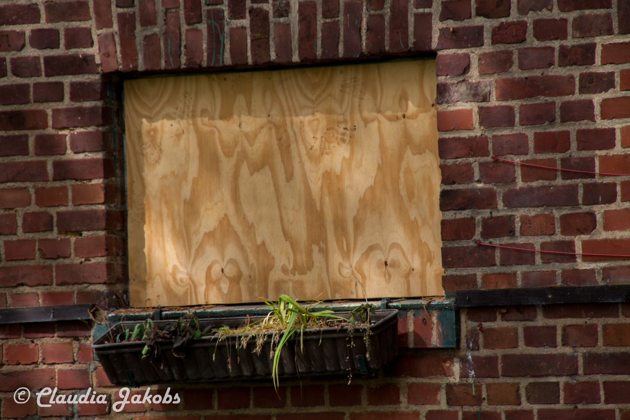 20160516102006 IMG 0744