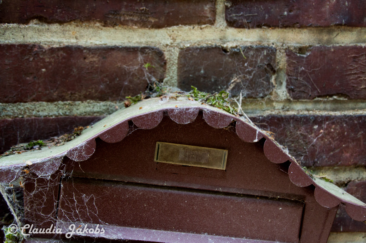 20160516102108 IMG 0747