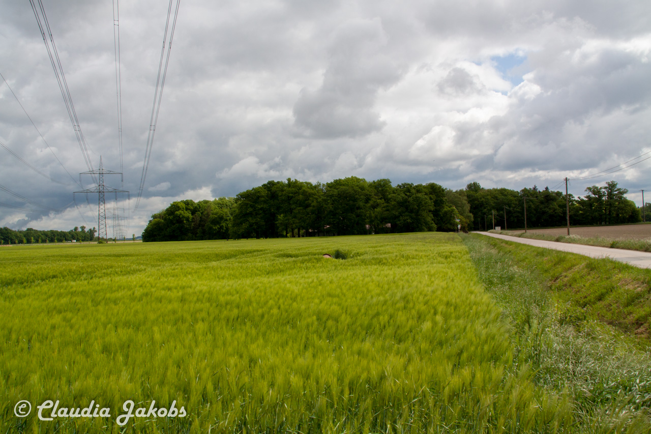 20160516102318 IMG 0750