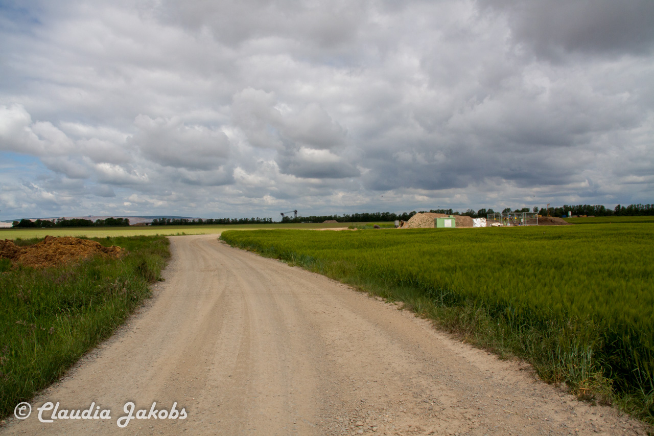 20160516102327 IMG 0751