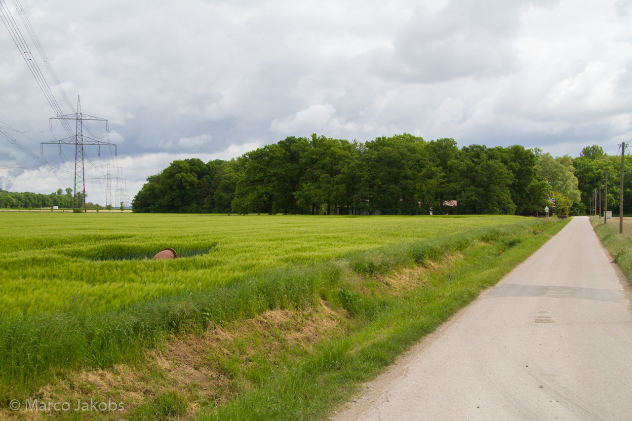 20160516102331 MJ  4602