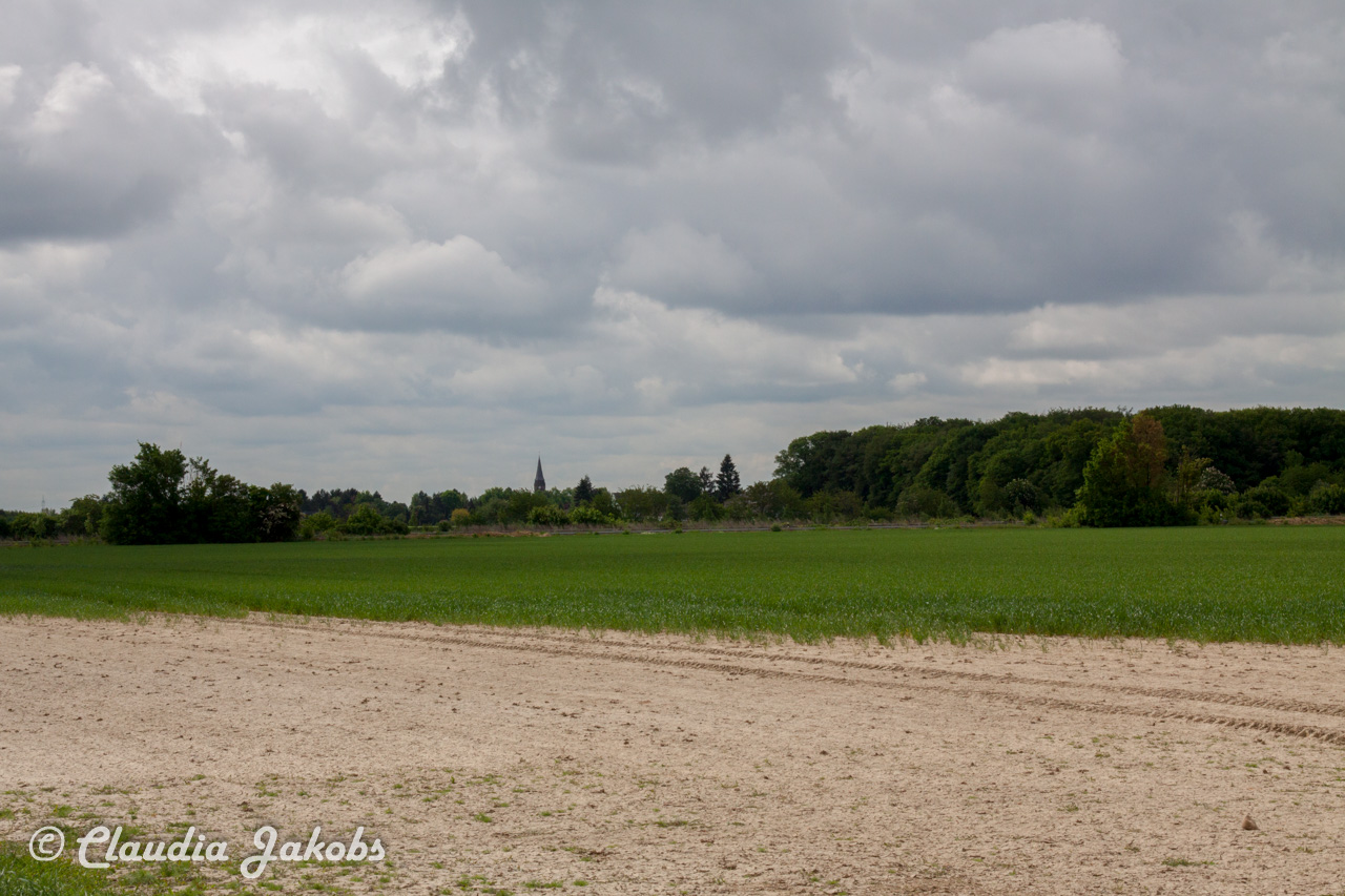 20160516102351 IMG 0752