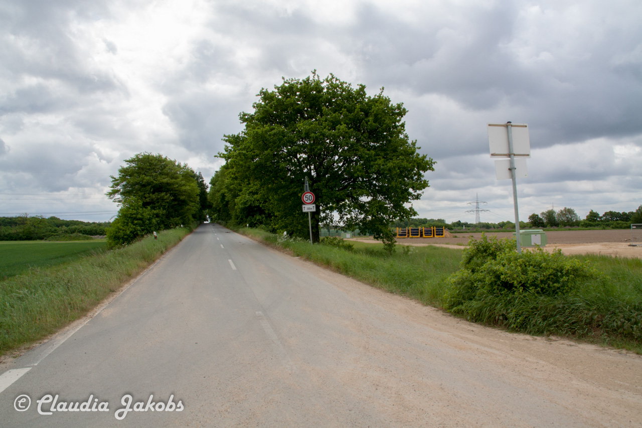 20160516102645 IMG 0758