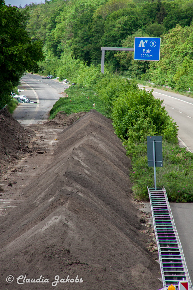 20160516102819 IMG 0760